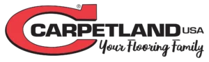 CARPETLAND-VIRGINIA-LOGO-RGB-2024-2