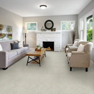 Carpet Inspiration Gallery | Carpetland USA of Virginia