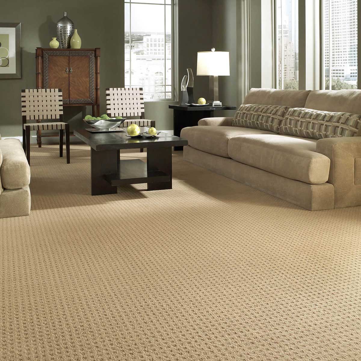 Living room Carpet | Carpetland USA of Virginia